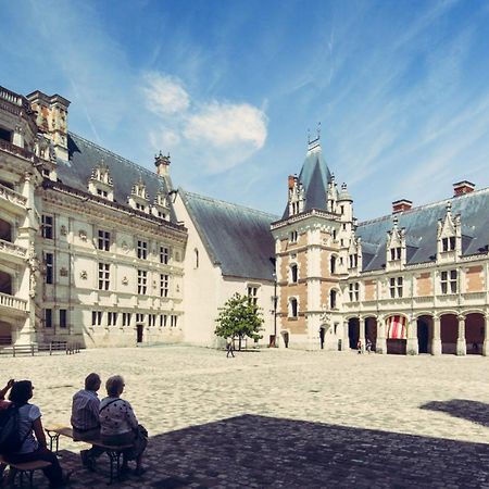 Gite De La Tour De Loire - 65 M2 Au Pied D'Une Tour De Gue Du 17Eme Siecle Мер Экстерьер фото
