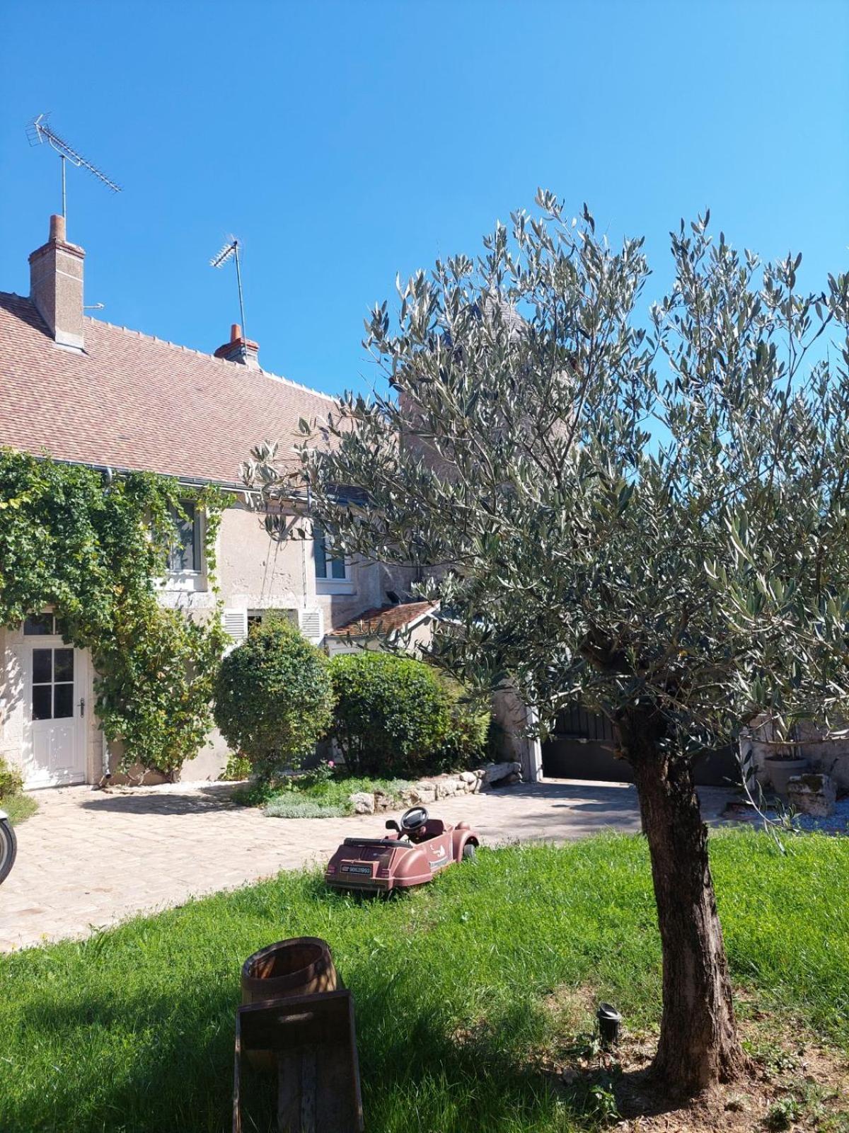 Gite De La Tour De Loire - 65 M2 Au Pied D'Une Tour De Gue Du 17Eme Siecle Мер Экстерьер фото